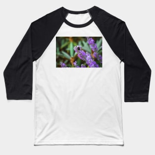 Bumblebee on lavender Baseball T-Shirt